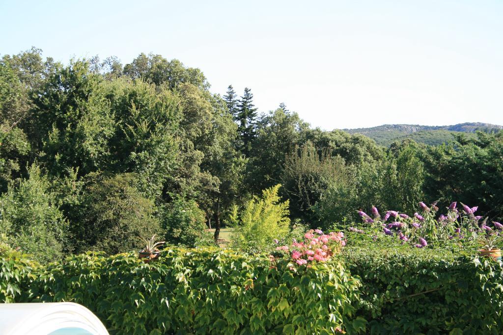 La Figalie Villa Saint Jean du Pin Exterior photo